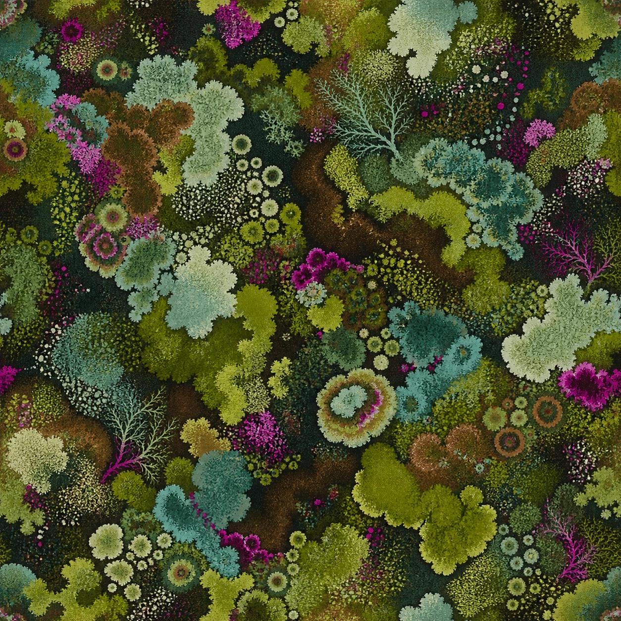 Spectral Moss registered S3 visual candidate